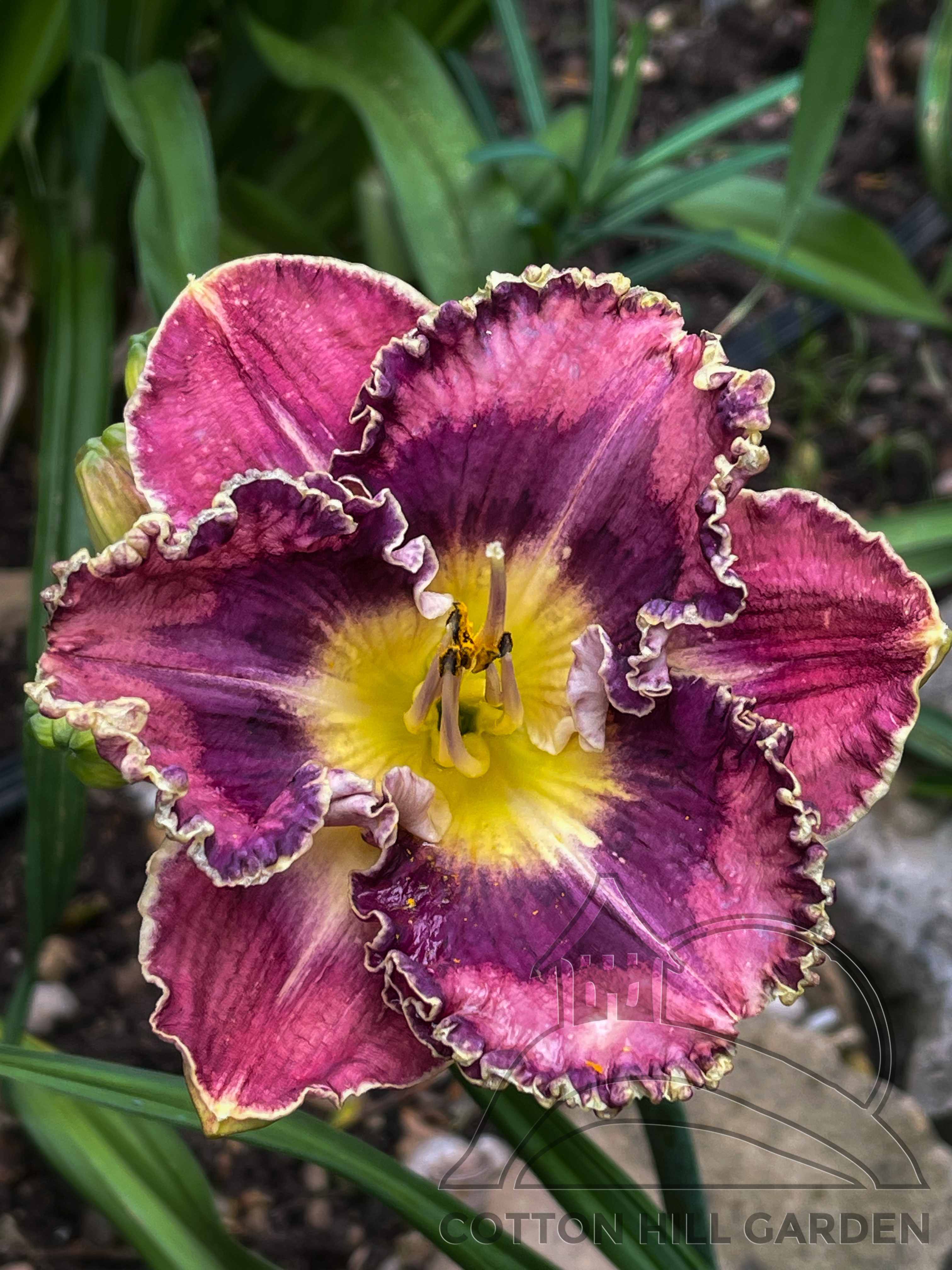 BROADEN YOUR HORIZONT