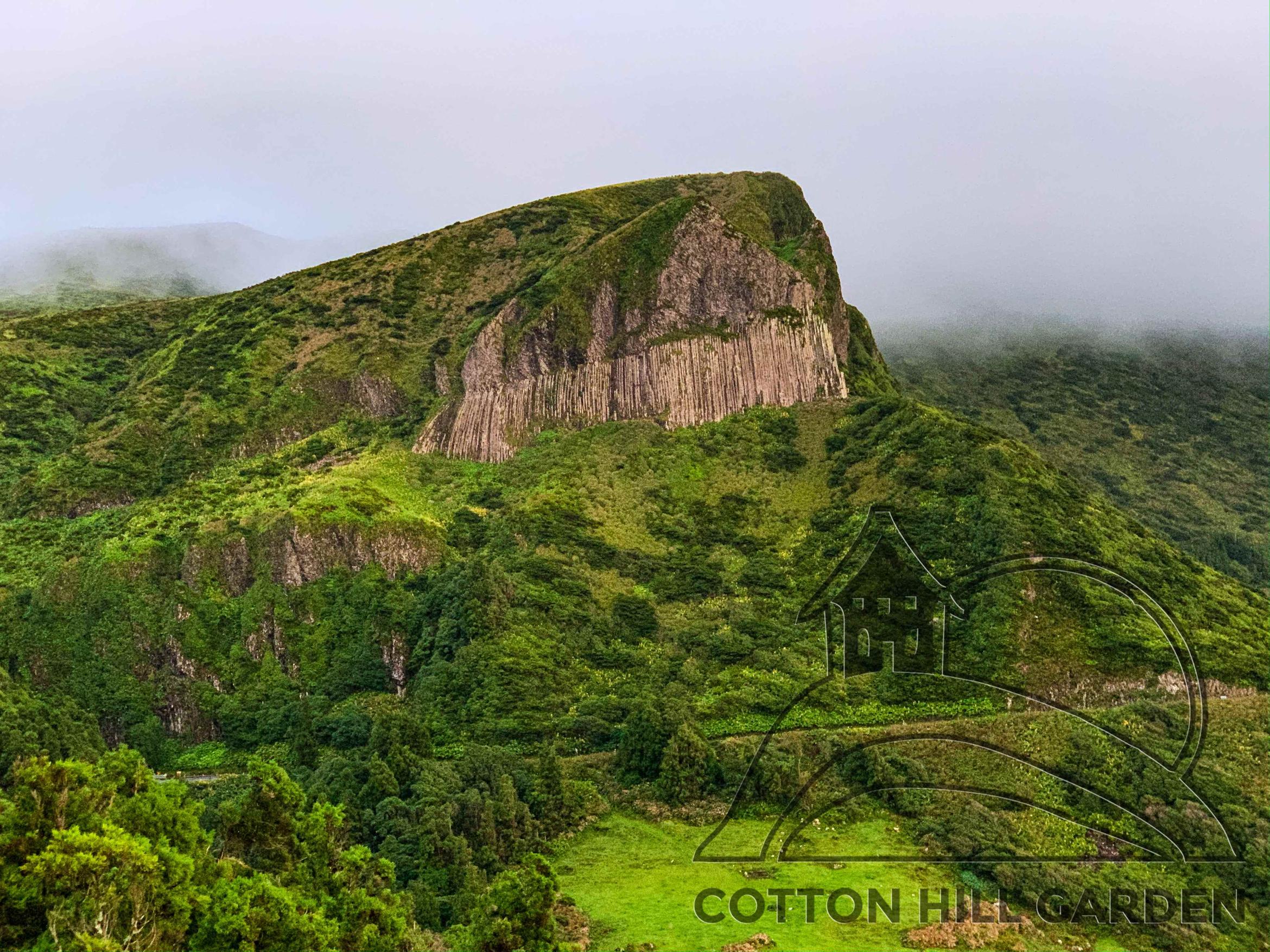 AZORSKÉ OSTROVY/FLORES - CANA ROCA