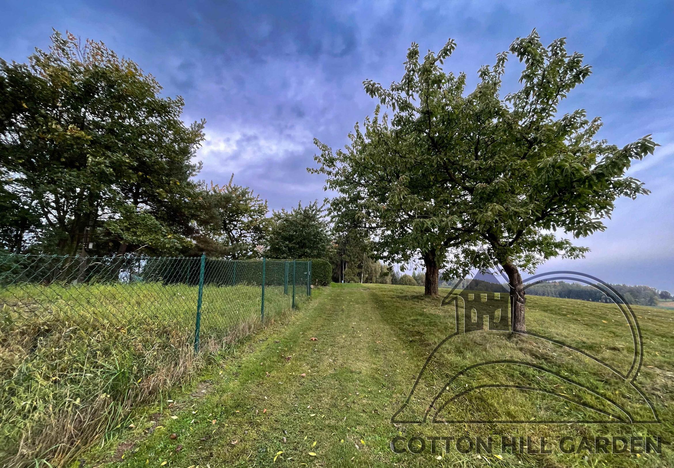 PŘÍJEZDOVÁ CESTA - STAV PŘED STAVBOU 2023