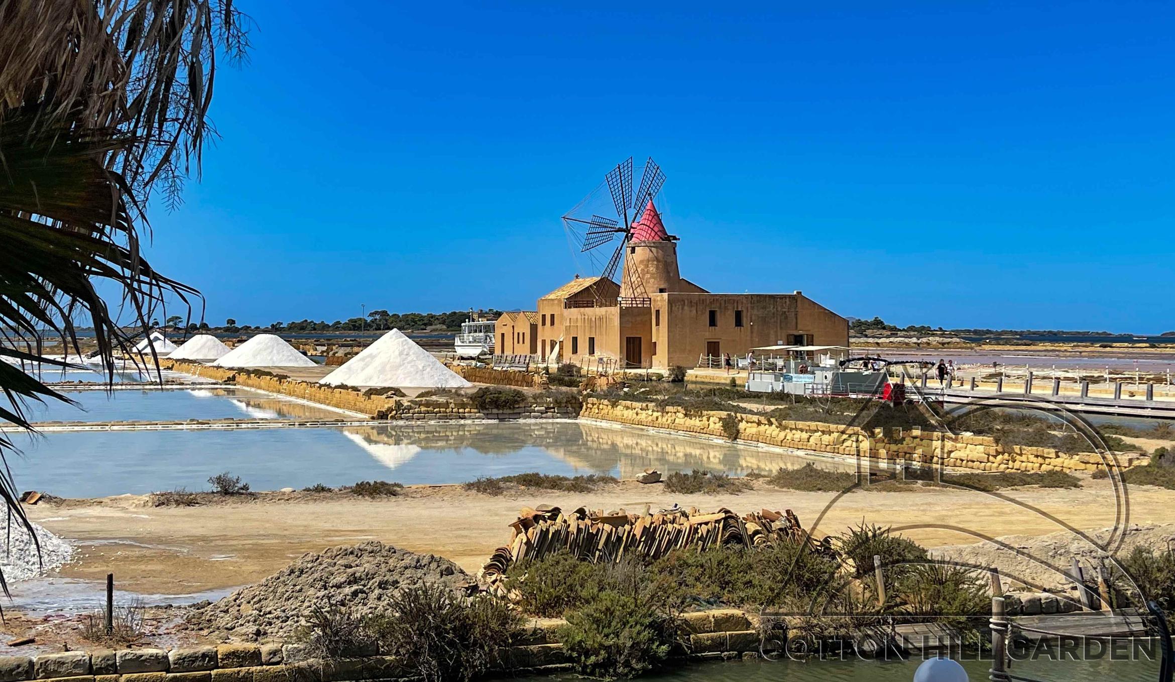 SICILIE - SOLISKA U MARSALY