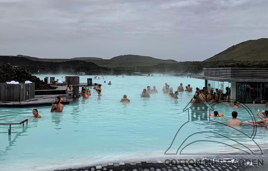 REYKJAVÍK - BLUE LAGOON